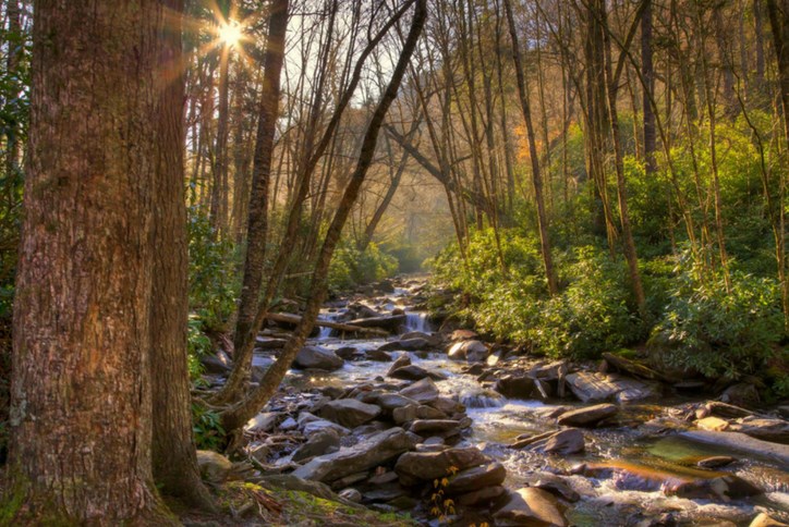 Great Smokey Mountains